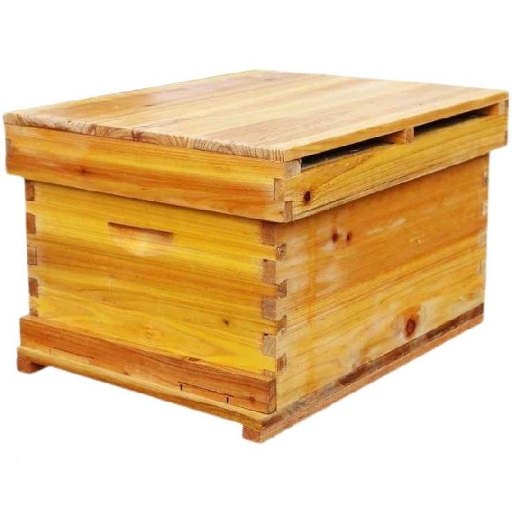 活底中蜂蜂箱中蜂箱继箱全套意蜂蜂箱厚十框活框土养蜂箱蜜蜂箱板