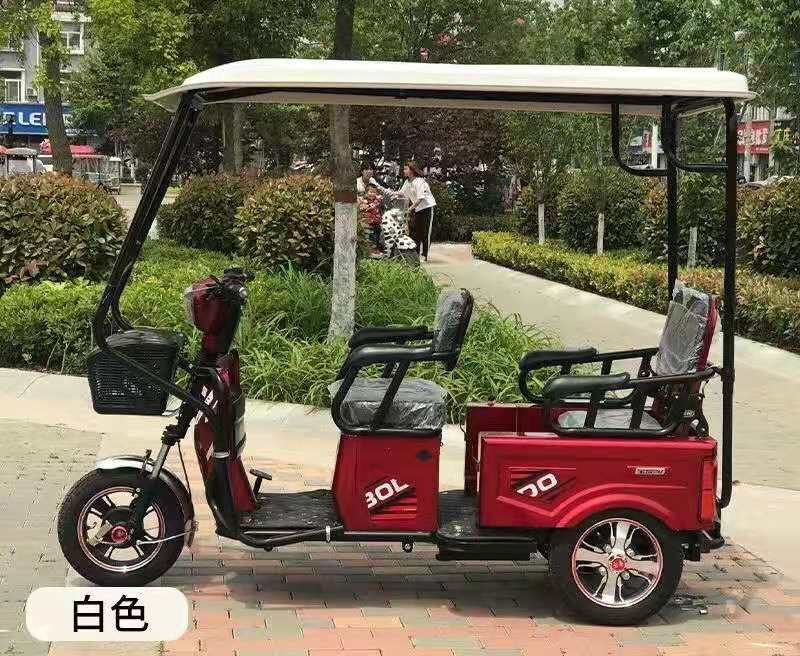 三轮车车棚小巴巴士电动三轮大安罗纳多电瓶车全闭遮阳篷