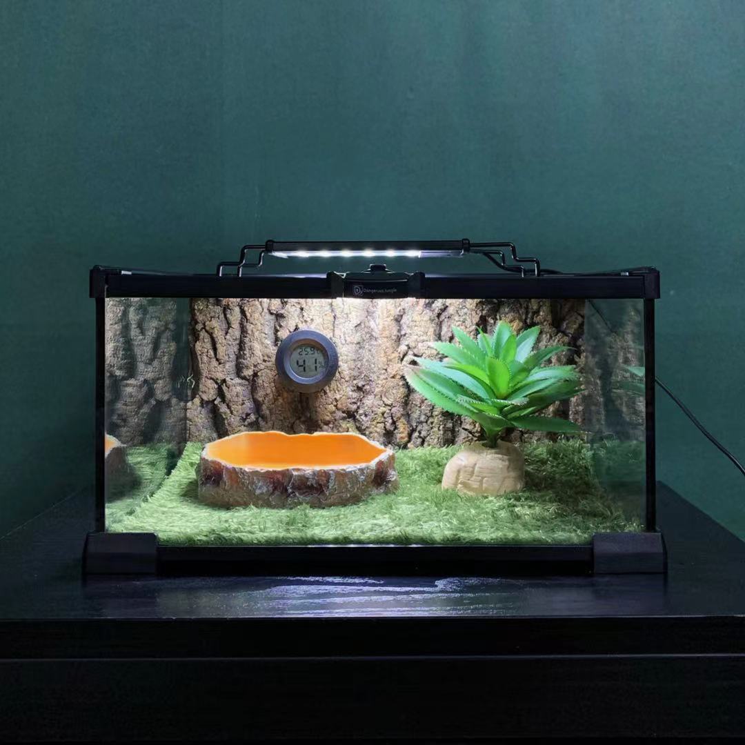 角蛙爬宠爬虫莫斯地毯树皮造景干湿分离养蛙爬虫