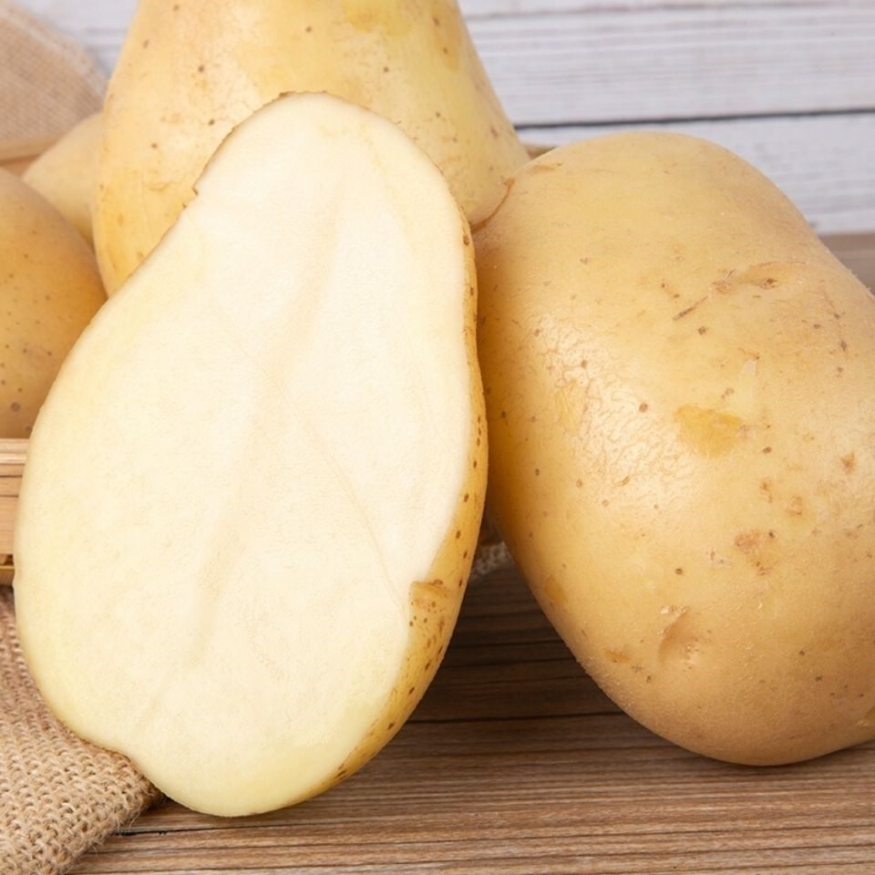 土豆新土豆10斤新鲜马铃薯农家新大洋芋蔬菜农产品土豆