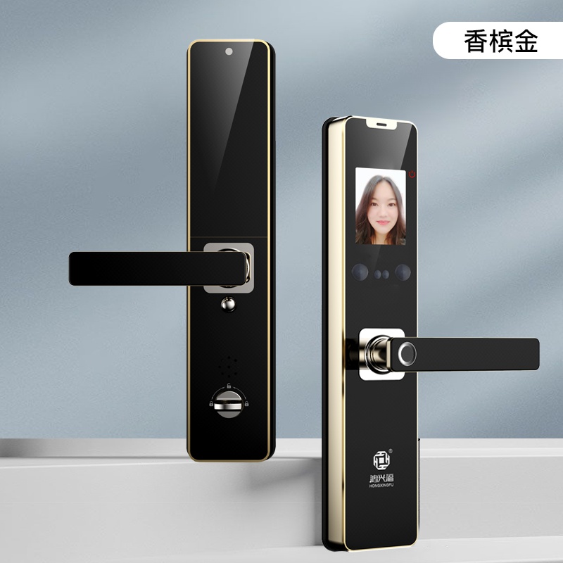 门锁智能人脸识别密码防盗防盗门电子锁门家用智能门锁