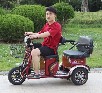 三轮车电动接送孩子孩子家家用新款小型老人老年电动三轮车