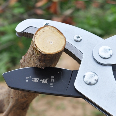 淘宝 进口粗枝剪高枝果树园艺伸缩大力剪