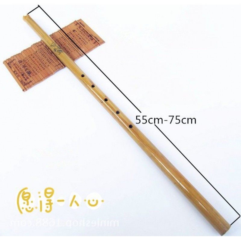 业乐箫器学乐孔演奏六洞八箫器初紫门入专竹短箫