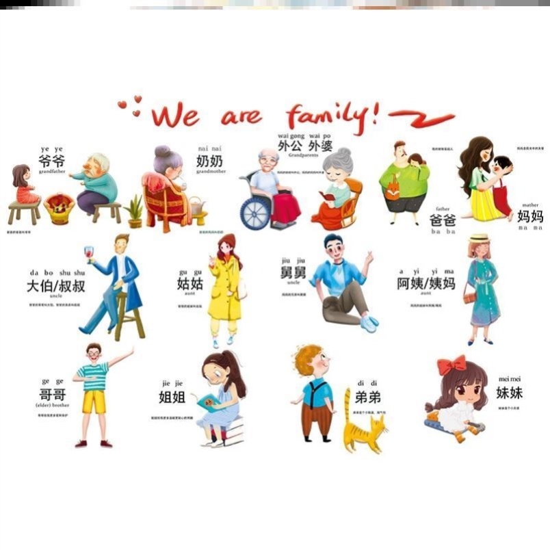 爸爸妈妈贴纸家庭人物成员卡通头像关系称谓认识墙贴识字图片认图