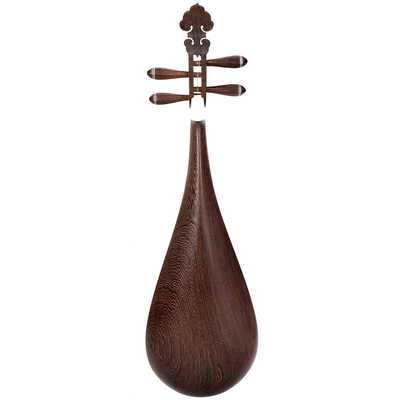 木琴乐器练习演奏琵琶初学鸡翅儿童入门专业琵琶