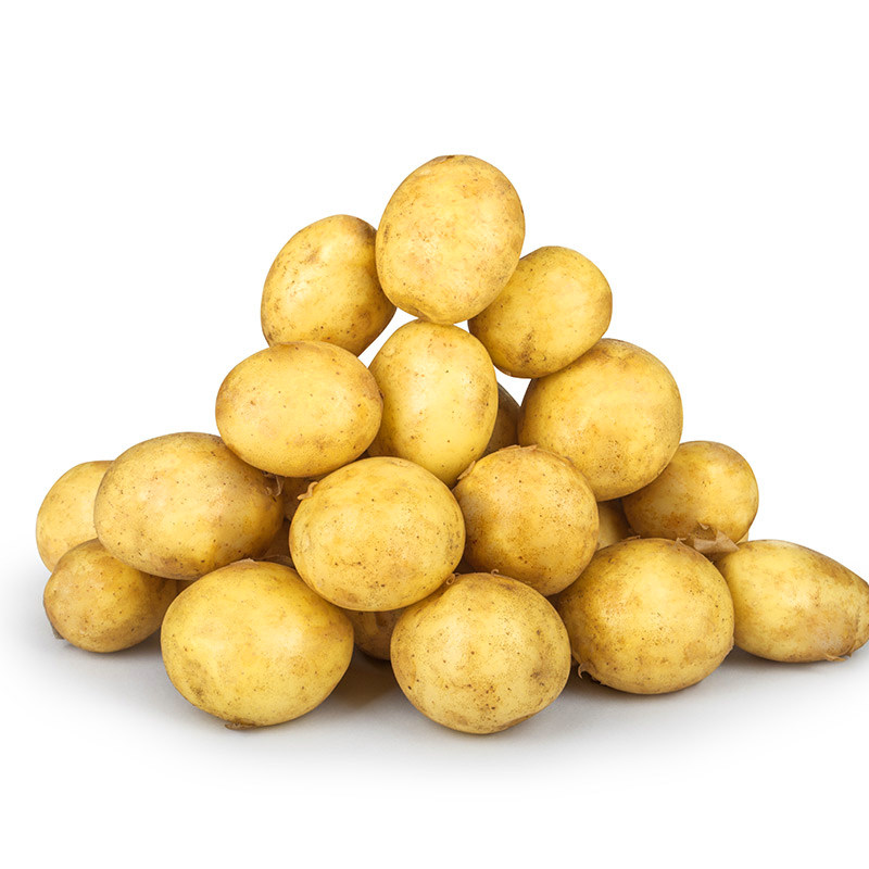 贵州黄心小五斤洋芋迷你高山新鲜现挖自种农家土豆