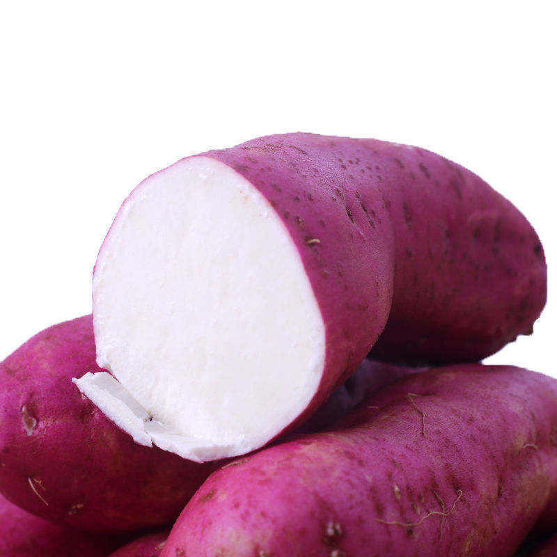 白心新鲜红薯农家自种板栗薯白地瓜白薯白瓤番薯