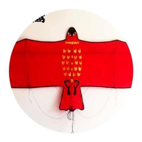 风筝艺博硅胶伞布手工撑杆板鹰成人易飞平板风筝