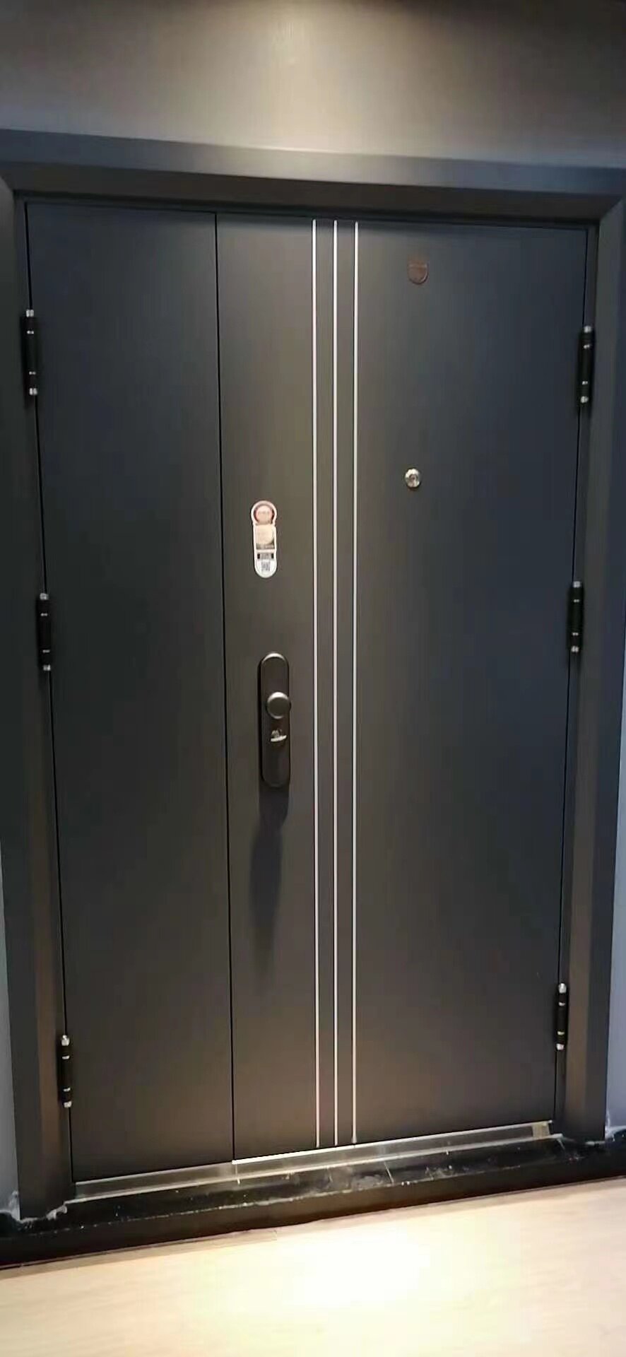 双色防盗门家用甲级进户门安全入户加厚静音帝伦进户门