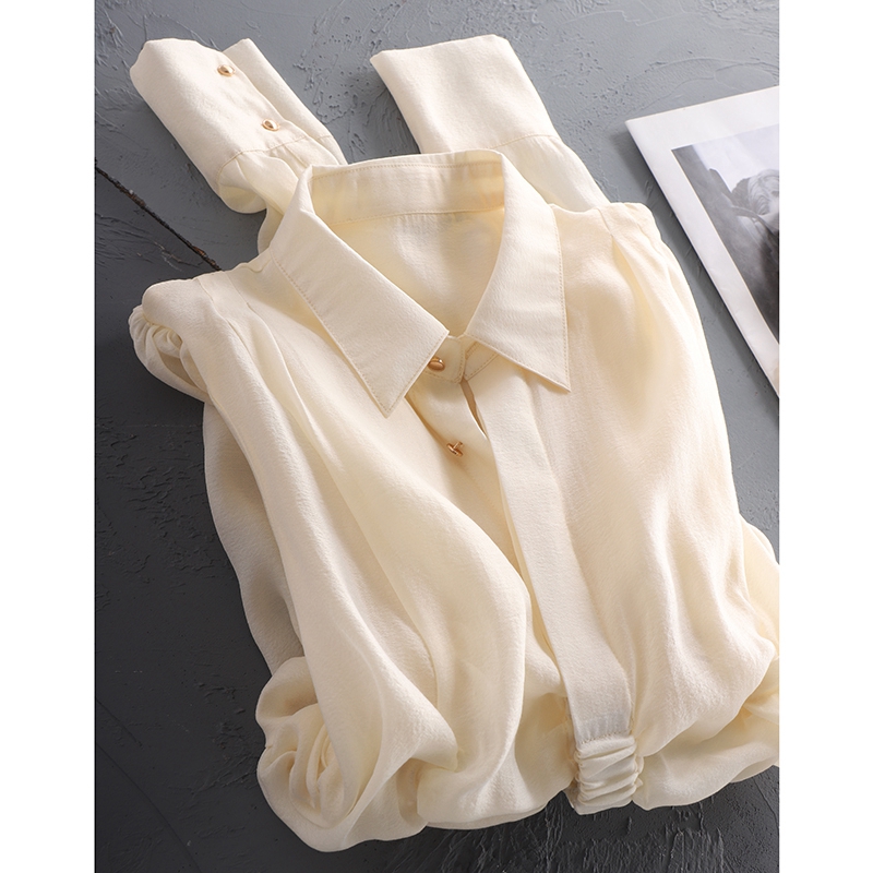 精致别致上衣设计感小众洋气欧货潮时髦肌理感翻领真丝衬衫女秋冬