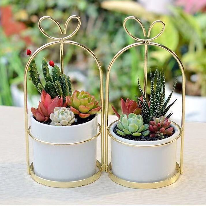 花盆摆件治愈系小insins多肉植物组合创意桌面花盆