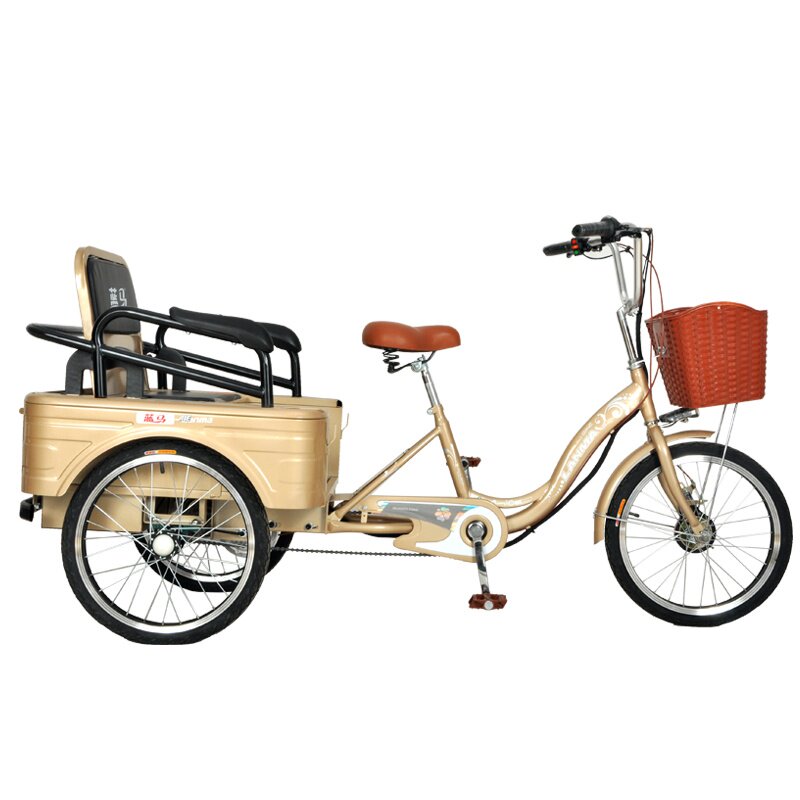 载人三轮车代步父母电车人力拉货老年人可折叠电动老年代步车