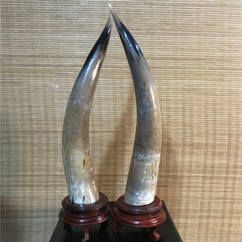 非洲牛角野牛水牛骨头工艺品角梳摆件挂件牛头摆件