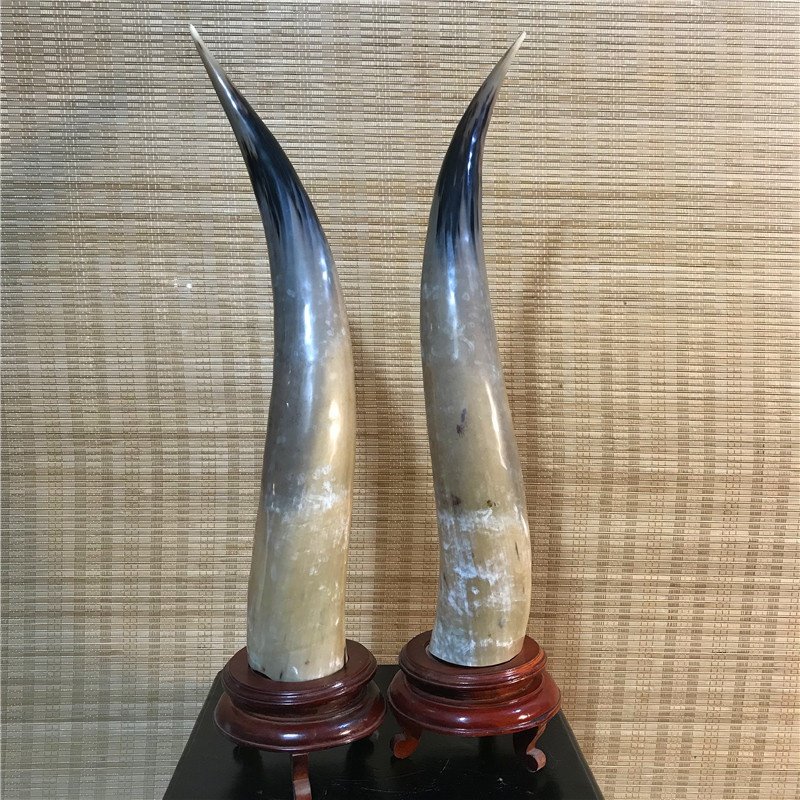 非洲牛角野牛水牛骨头工艺品角梳摆件挂件牛头摆件