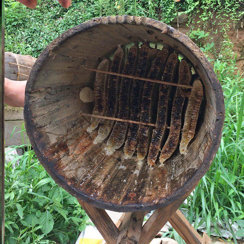 中蜂圆桶蜂箱诱蜂桶圆木桶蜜蜂桶全套诱蜂木桶圆形加厚养蜂桶工具