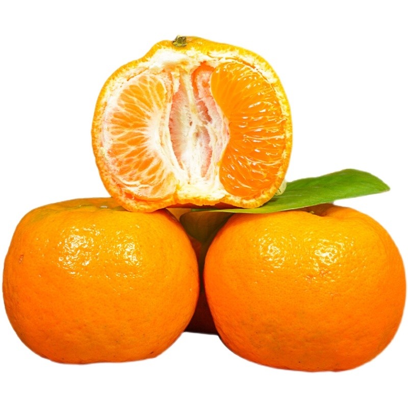 新鲜正宗永春芦柑现摘现发超甜礼盒盒装10斤桔子