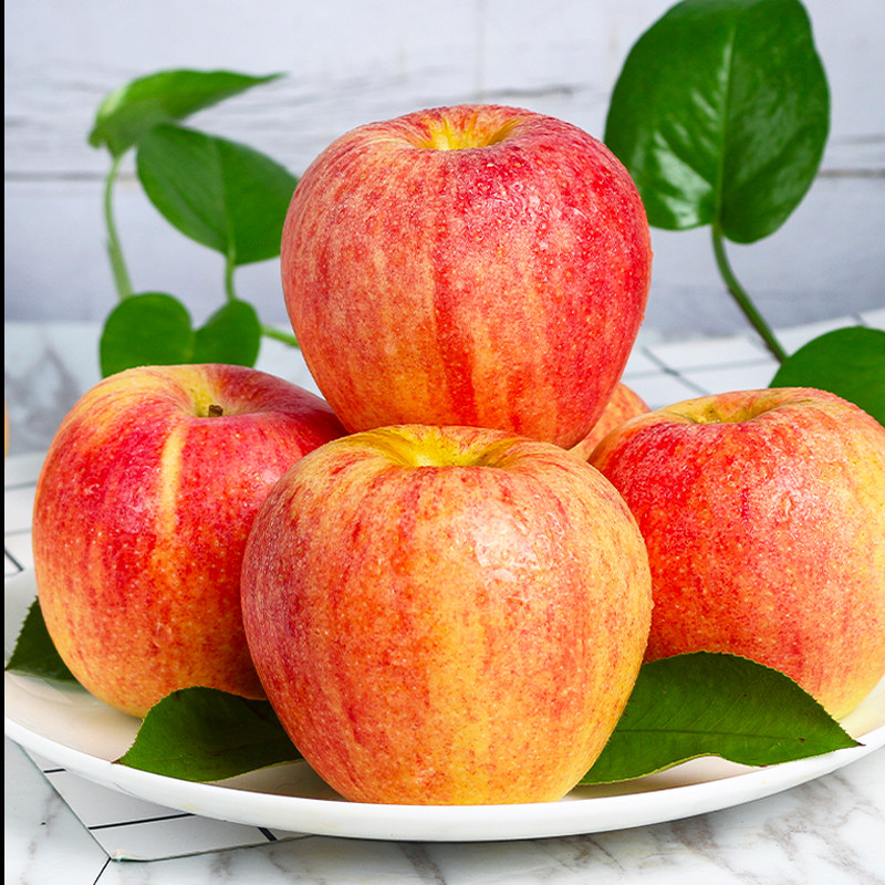 嘎啦苹果水果新鲜当季整箱甘肃米奇奇拉平果苹果