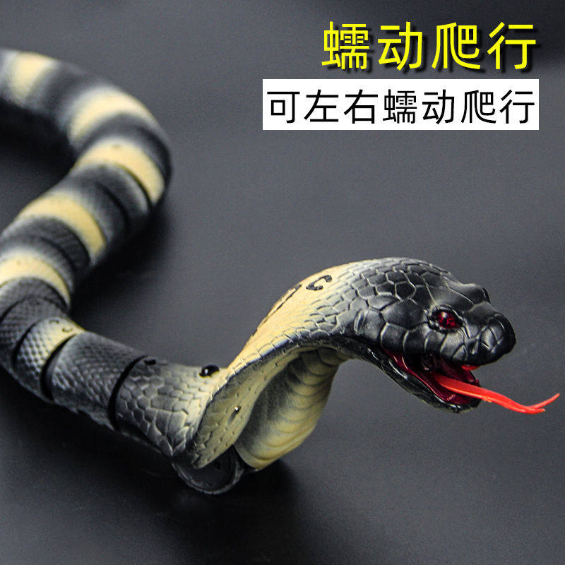 恐龙玩具整蛊男孩遥控仿真活物眼镜蛇蜘蛛动物创意