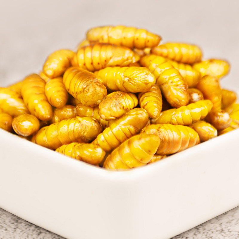 蚕蛹鲜活山东小蚕蛹特级金丝茧蛹新鲜速冻钓鱼其它干货