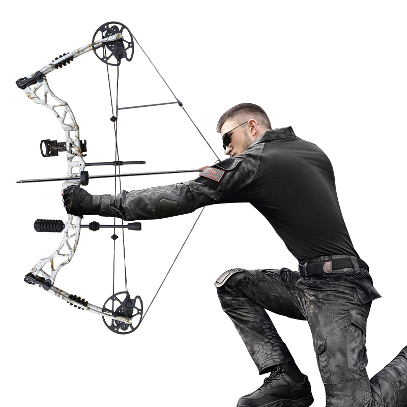 凯美秦弓箭射击比赛反曲弓复合弓套装猎竞技合金滑轮弓箭大威力