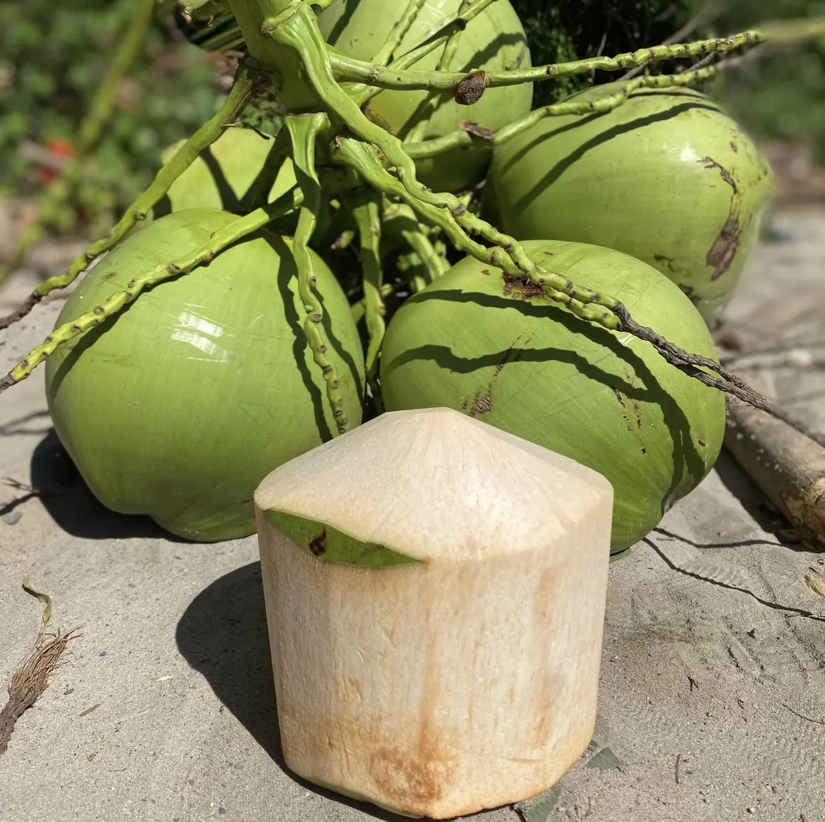 海南奶香椰子椰青精选大果新鲜水果9个装现椰青