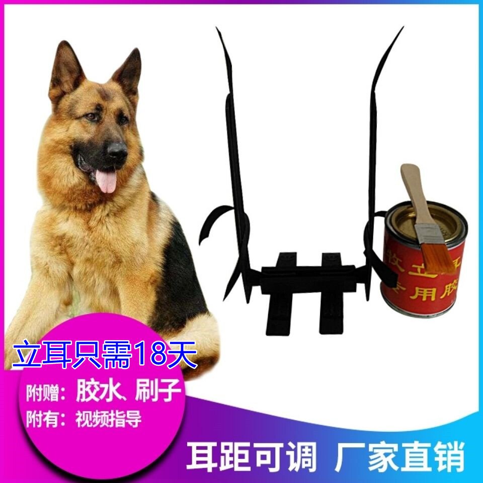 狗狗耳朵立耳器耳胶水大小小型马犬狗矫正竖耳更多日用品