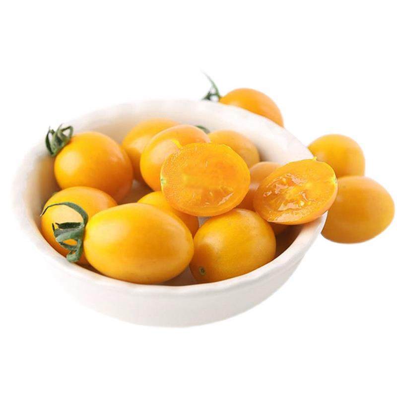 现摘现发福建黄金圣女果新鲜玲珑樱桃小番茄水果usb暖手套