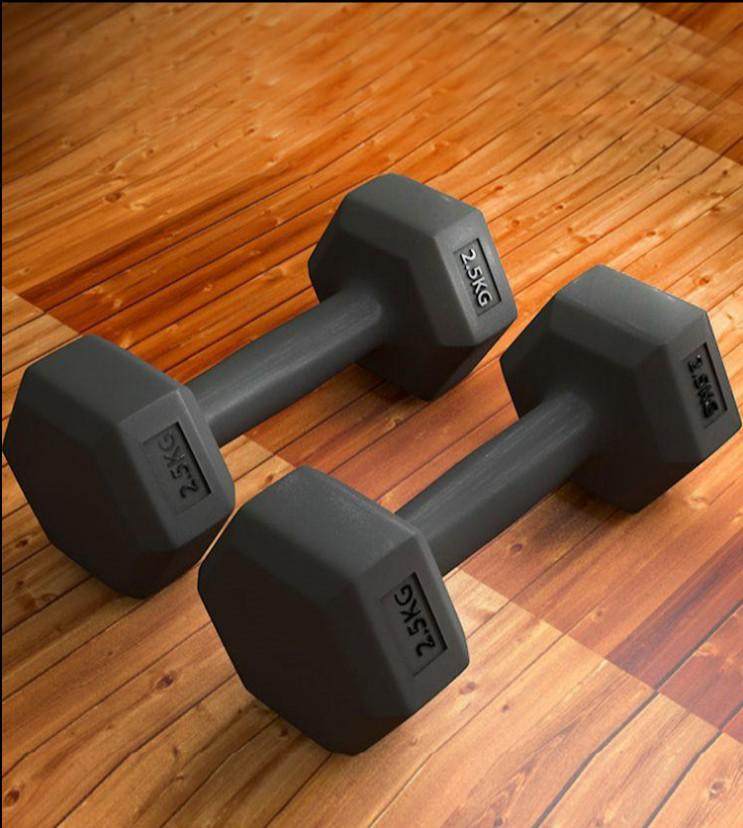 哑铃25kg一对用品简易体育青少年宿舍便携式成人哑铃