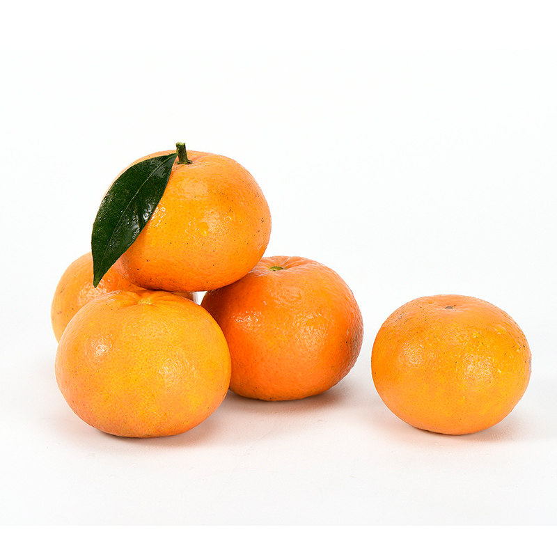 3斤中大果现摘广西武鸣沃柑