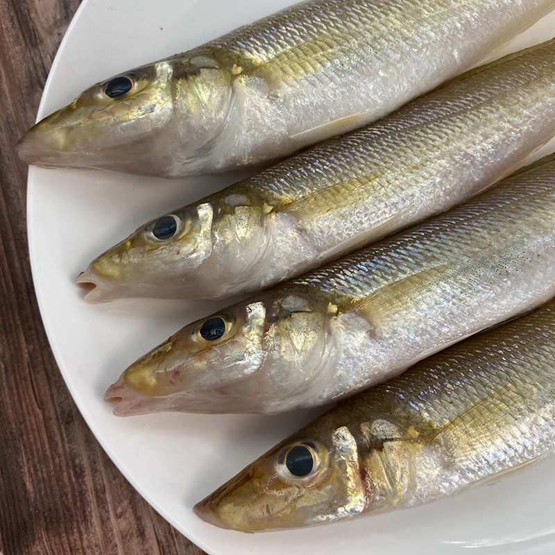 北海捕沙内脏海去鳞1518条沙丁鱼3包海鲜冷冻新鲜秋刀鱼