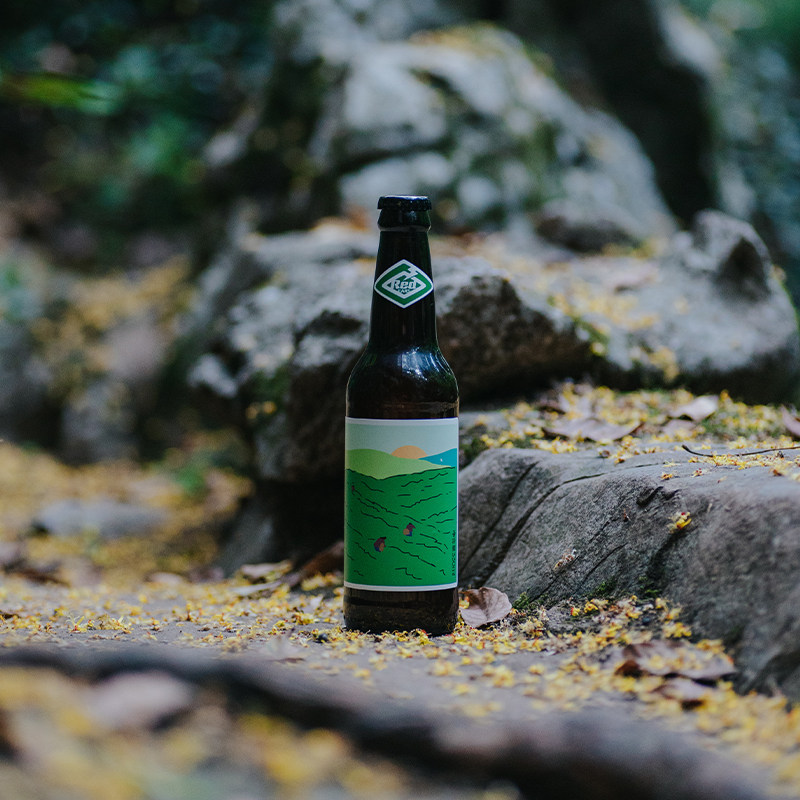 新品赤耳酿造烟云龙井比利时小麦麦精啤酒330ml啤酒