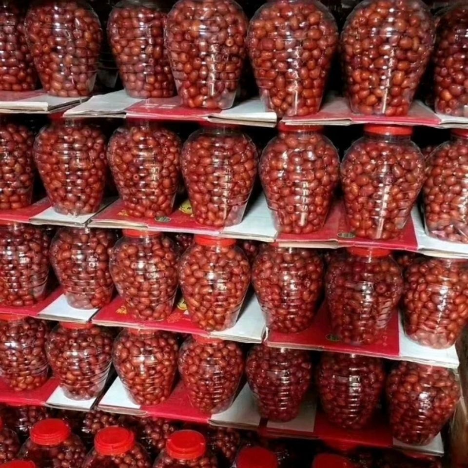 沧州金丝献县伊甸园酒枣醉枣河北特产红枣枣类制品