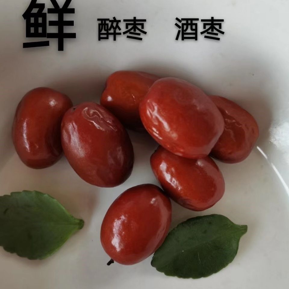 沧州金丝献县伊甸园酒枣醉枣河北特产红枣枣类制品