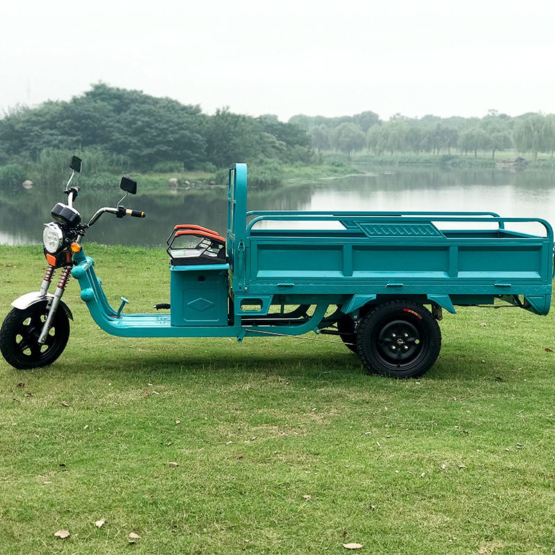 三轮车新品新款拉货家用快递电瓶农用成人电动电动三轮车