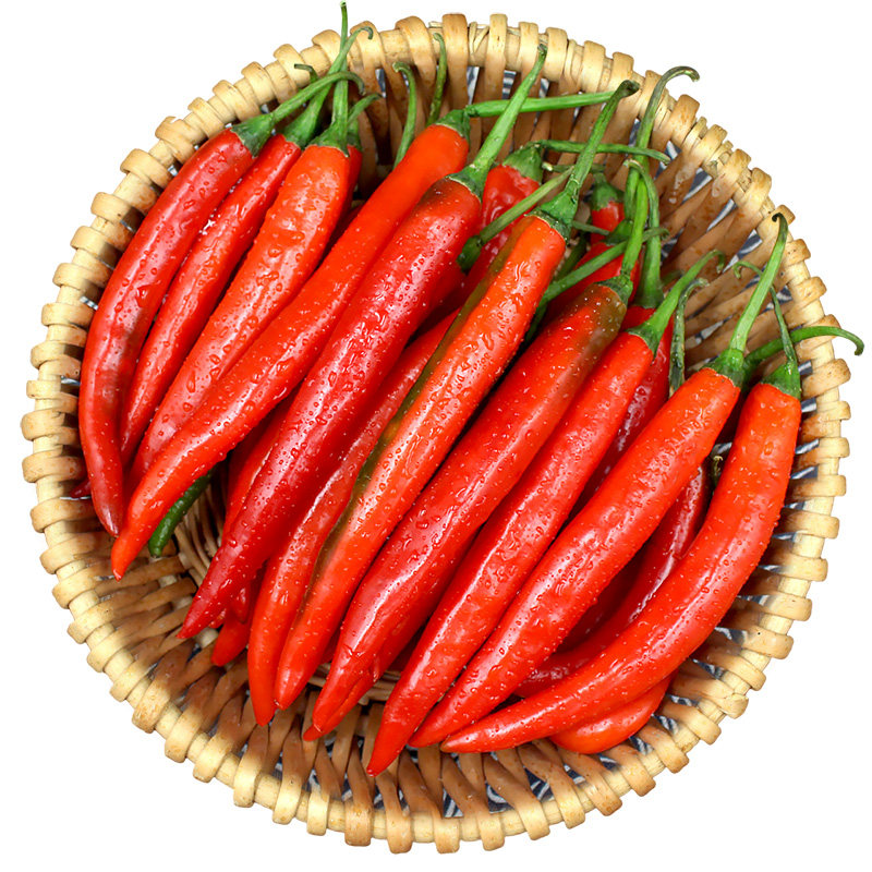 现货美人辣椒5斤红辣椒新鲜荆条农家自种露天辣椒