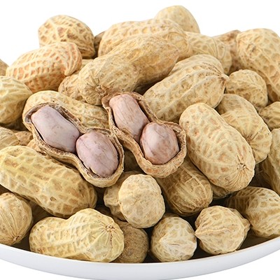 正宗福建龙岩特产白衣湿烤五香花生带壳晒干花生