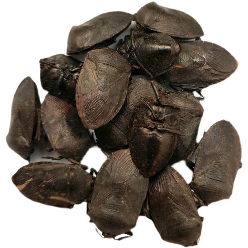 药材九香中药100g新鲜打屁虫草草药无添加云南其他药食同源食品