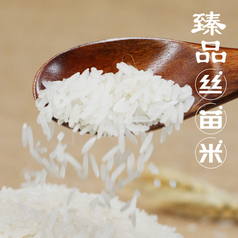 增粮白水寨增城臻品丝苗米5kg南方长粒香籼米煲仔饭广东大米10斤