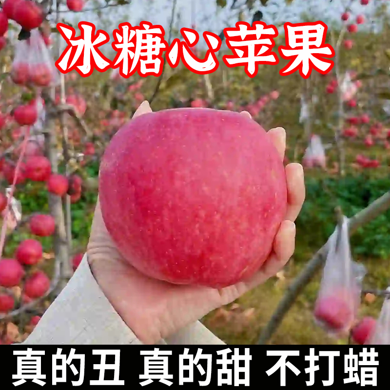 冰糖心苹果红富士苹果2023陕西淳化苹果9斤当季新鲜水果脆甜多汁