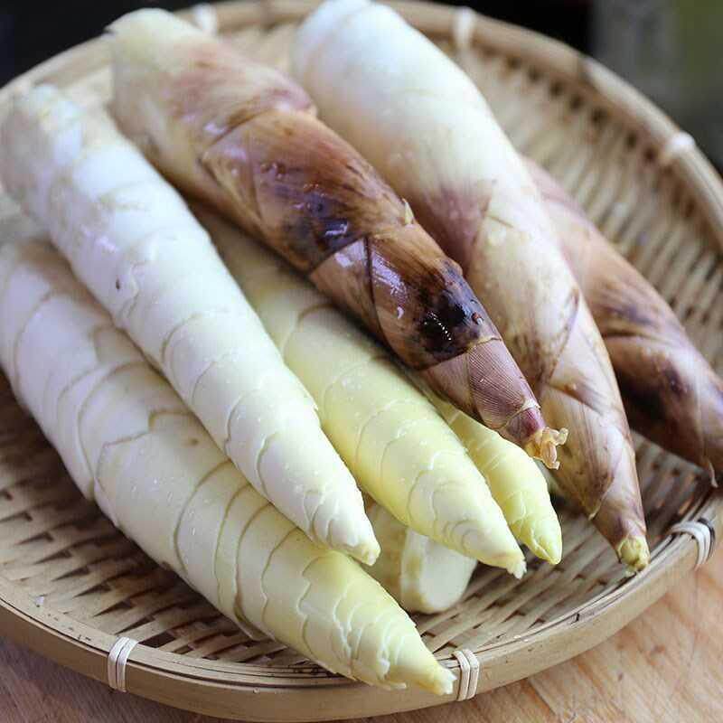 临安春笋新鲜现挖竹笋10斤正宗浙江天目山雷笋装竹笋