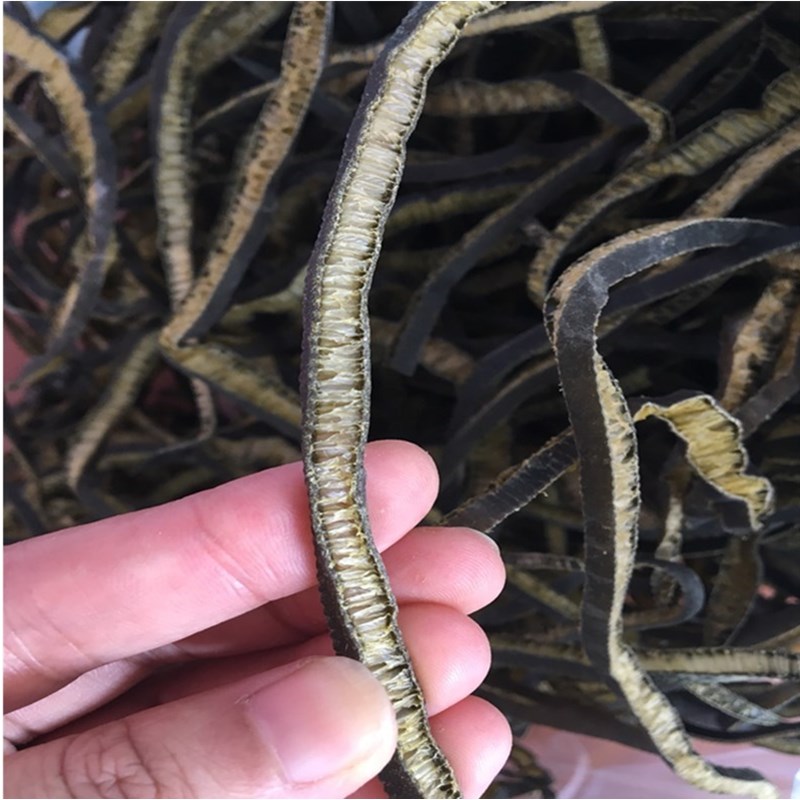 野生海茸丝 500g新鲜冰笋海茸干海鲜干货海笋海荣海松