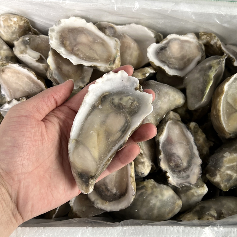 福建新鲜冷冻海鲜水产海蛎子去壳生蚝肉鲜活牡蛎肉整箱饭店商用