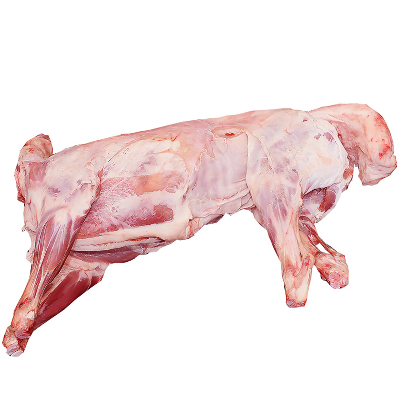 草原犇牛 新鲜羊肉内蒙古全羊整只整羊羔羊白条羊锡盟羊22斤左右-mc母