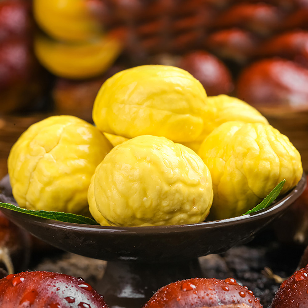 正宗丹东新鲜板栗生3斤栗子