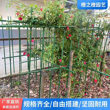 Courtyard grape trellis climbing frame Passion fruit ແຕງ luffa clematis climbing frame Plastic coated steel tube flower bracket pole