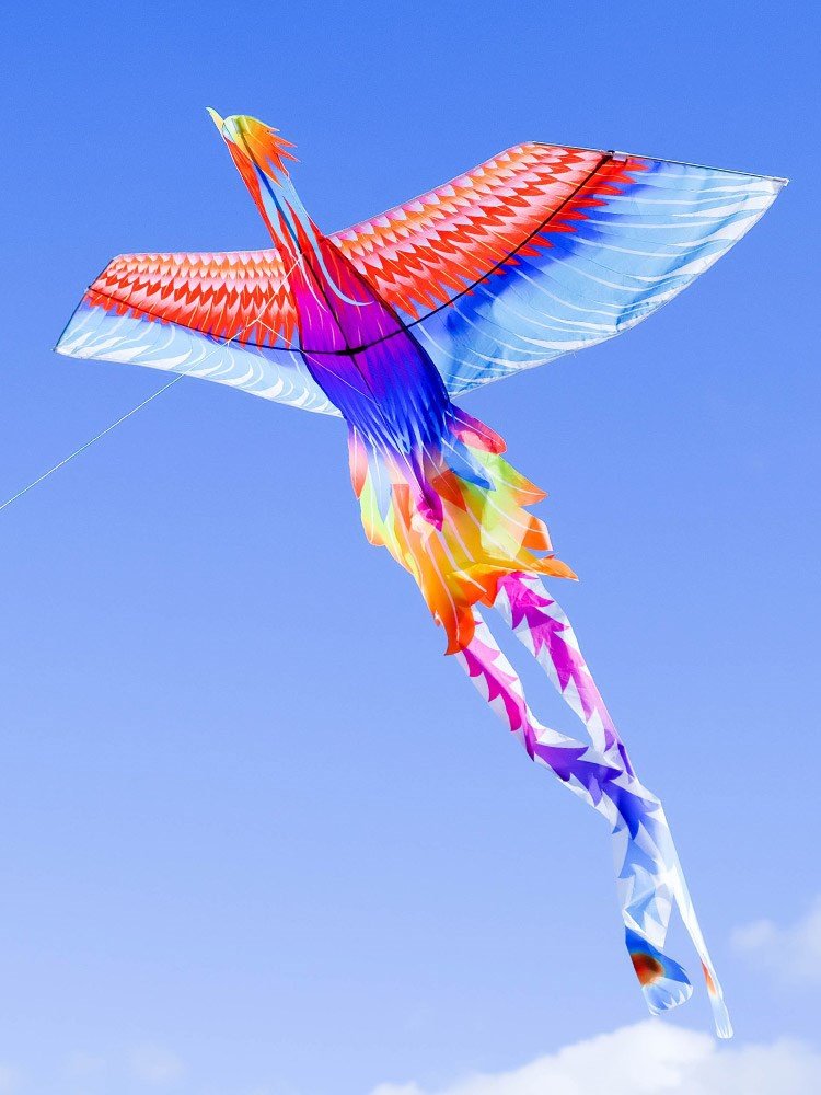 风筝2022年新款大人专用超大网红中国国风儿童风筝