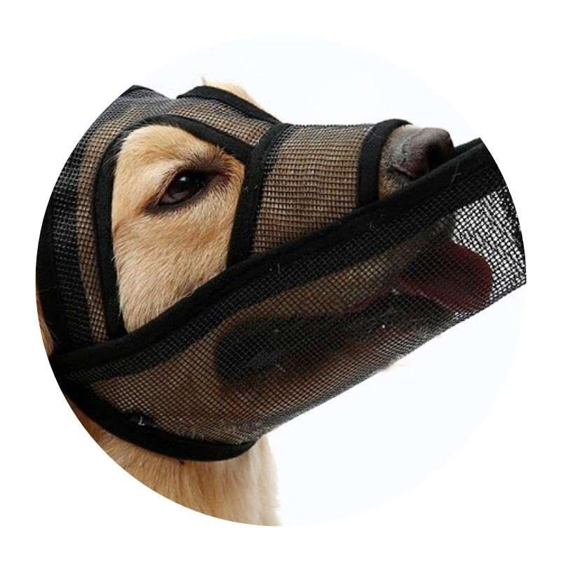 狗狗防止牙套宠物狗防捡食防咬口套狗防咬嘴套狗叫嘴套