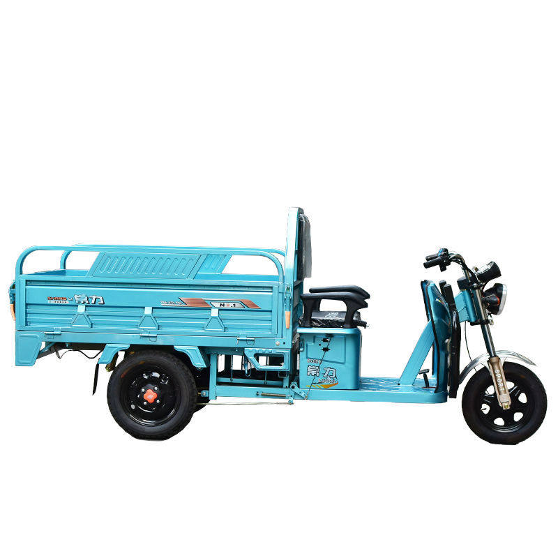 常力小型孩子接送家用电瓶车农用电动王小型载重拉杆包