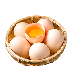 散养土鸡蛋农家土鸡蛋新鲜山地生态土鸡蛋自养天然走地鲜鸡蛋6枚价格比较